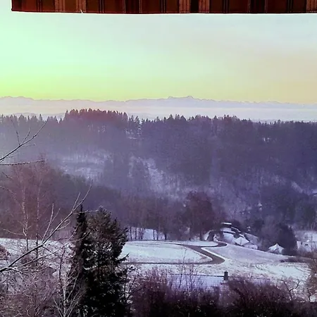 Panoramablick Taisersdorf Lejlighed Owingen